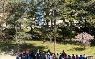 2ba1ff1c-db3f-4672-9aa6-2b55ba158e01