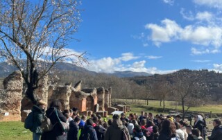 4d3a5423-739a-4bd0-9fc6-3e25c633acd3